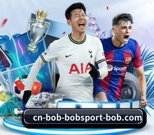 BOB体育官网 APP